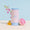 Boîte doseuse - Lessive Universelle SB