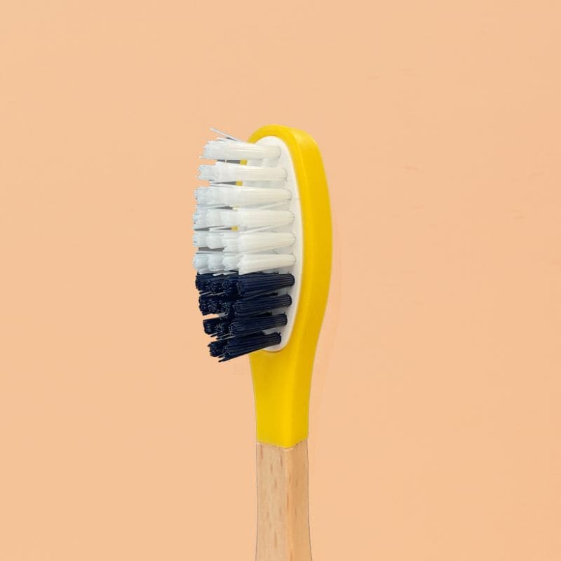 Têtes de Brosse à Dents (x3) (poils medium)