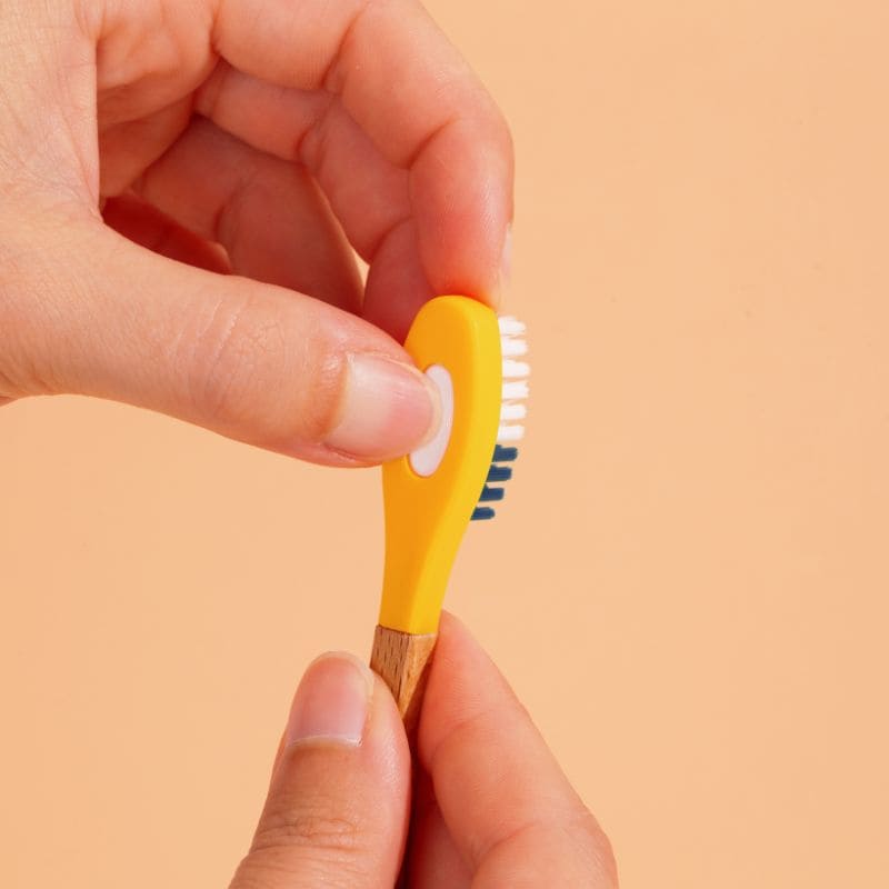 Têtes de Brosse à Dents (x3) (poils medium)