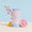 Boîte doseuse lessive universelle Pimpant