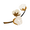 Image to render