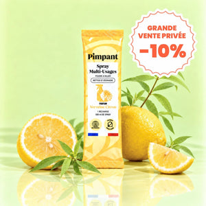 Recharge Spray Multi-Usages (NOUVEAU FORMAT)