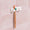 Support mural pour brosses à dents 2 places Pimpant