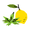 Image to render