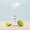 Bouteille Spray Vitres 500 ml SB