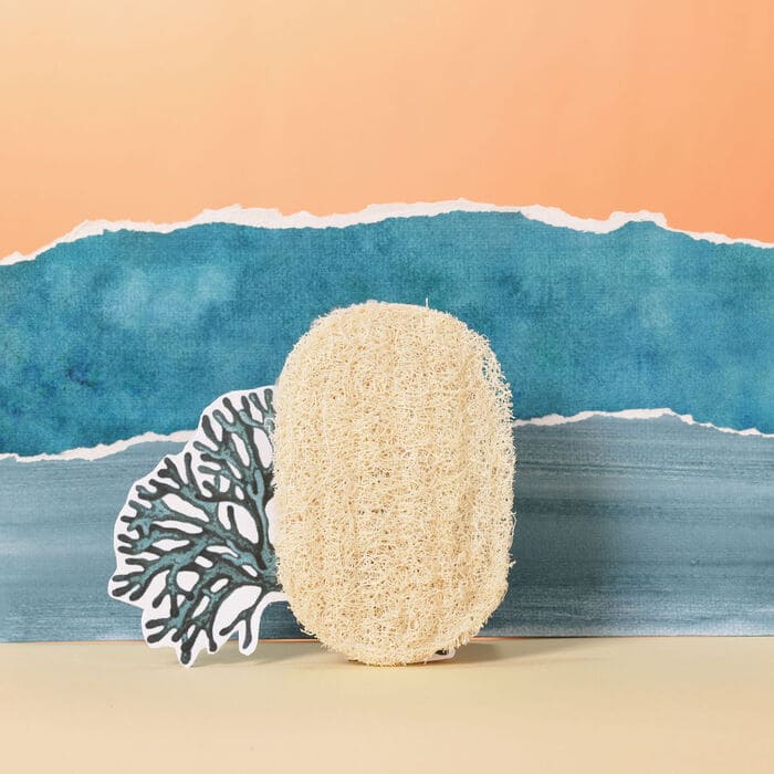 Porte-savon en luffa naturel